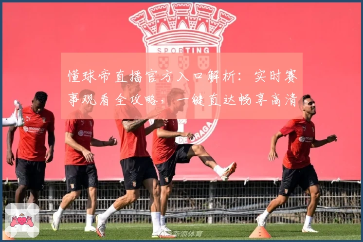 懂球帝直播官方入口解析：实时赛事观看全攻略，一键直达畅享高清体验
